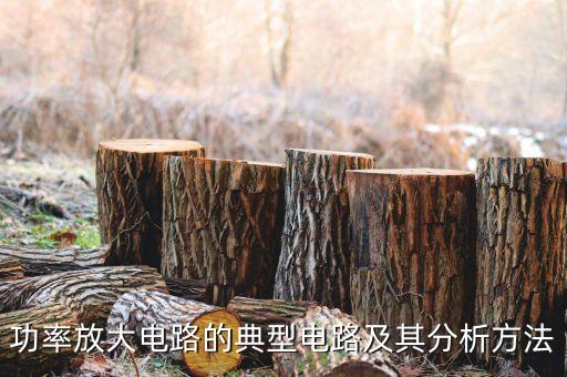 功率放大電路的典型電路及其分析方法