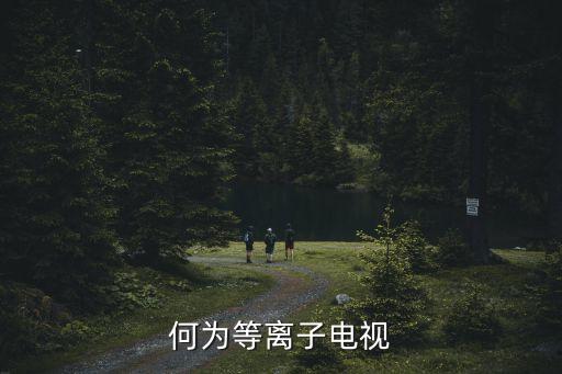等離子電視，何為等離子電視