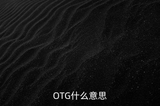 OTG什么意思