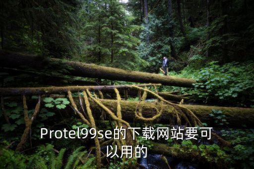 Protel99se的下載網(wǎng)站要可以用的