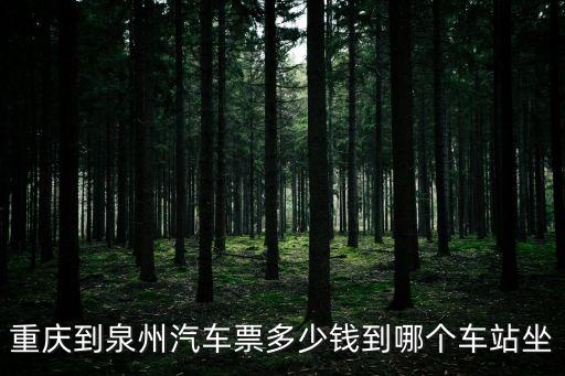 重慶到泉州汽車票多少錢到哪個(gè)車站坐