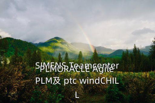 SIMENS Teamcenter PLMORACLE Agile PLM及 ptc windCHILL