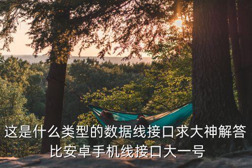 這是什么類型的數(shù)據(jù)線接口求大神解答 比安卓手機線接口大一號