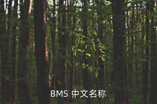 BMS 中文名稱