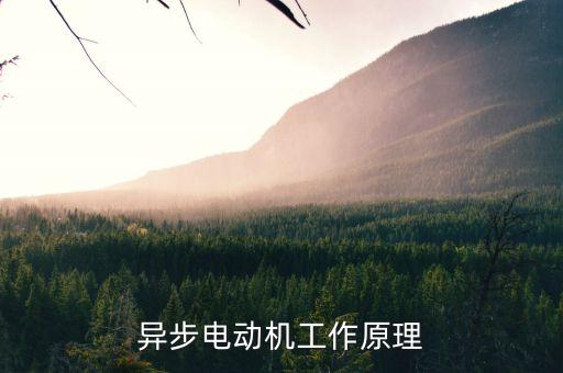 異步電動(dòng)機(jī)工作原理