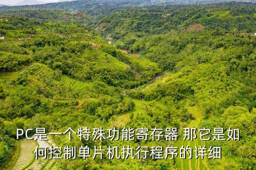 PC是一個(gè)特殊功能寄存器 那它是如何控制單片機(jī)執(zhí)行程序的詳細(xì)