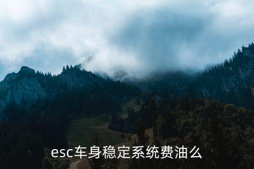 esc車身穩(wěn)定系統(tǒng)費(fèi)油么