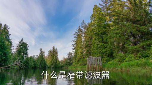 什么是窄帶濾波器