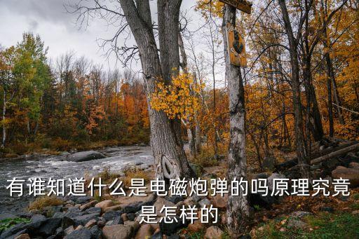 電磁炸彈，關(guān)于軍事的問(wèn)題