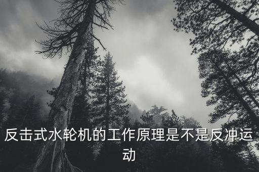 反擊式水輪機(jī)，反擊式水輪機(jī)的工作原理是不是反沖運(yùn)動(dòng)