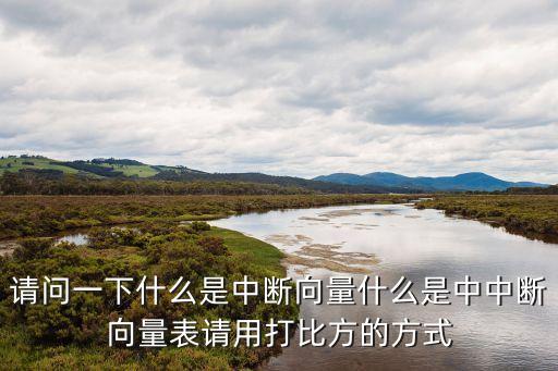 請問一下什么是中斷向量什么是中中斷向量表請用打比方的方式