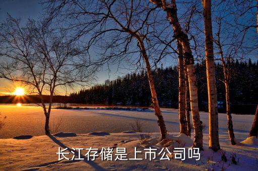 長江存儲是上市公司嗎