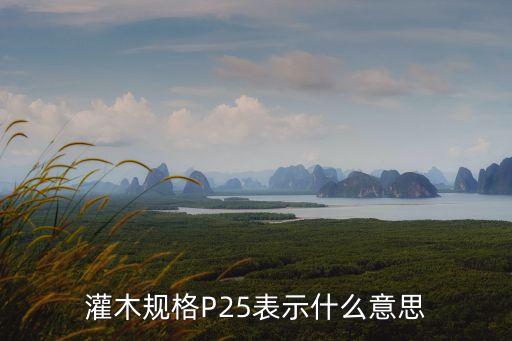 灌木規(guī)格P25表示什么意思