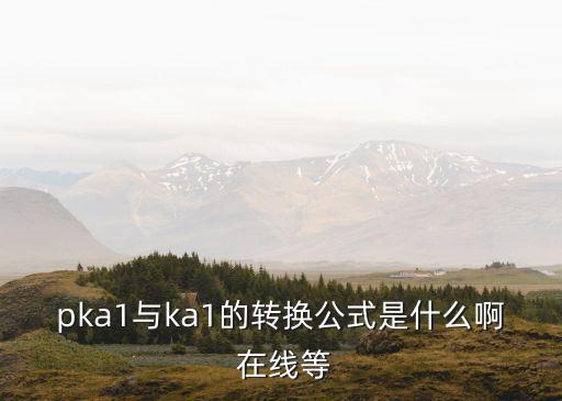 ka1，pka1與ka1的轉(zhuǎn)換公式是什么啊 在線等