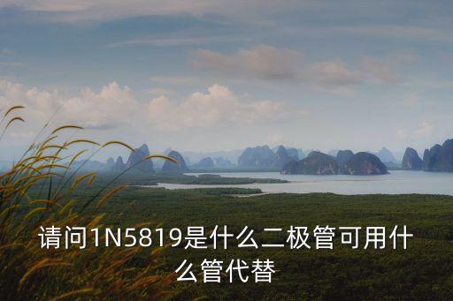 請(qǐng)問(wèn)1N5819是什么二極管可用什么管代替