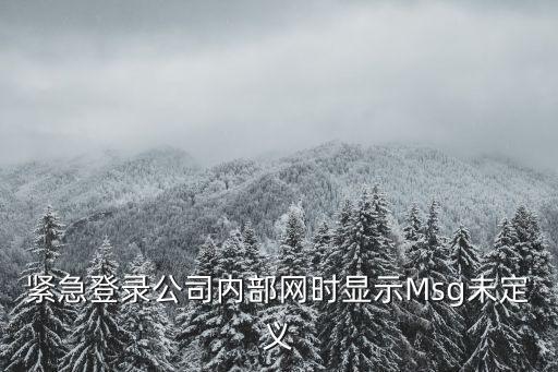 緊急登錄公司內(nèi)部網(wǎng)時顯示Msg未定義