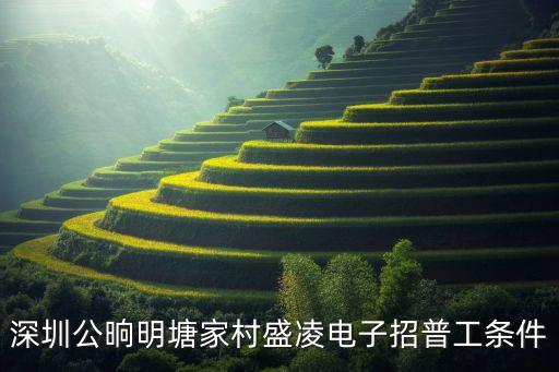 深圳公晌明塘家村盛凌電子招普工條件