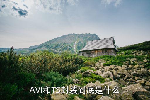tsv封裝，AVI和TS封裝到底是什么