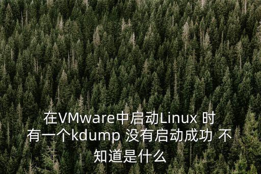 kdump，Kdump 在linux系統(tǒng)中是什么意思 具體做什么用