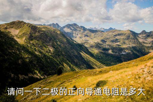 請問一下二極的正向導通電阻是多大