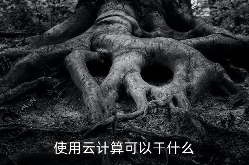 使用云計算可以干什么