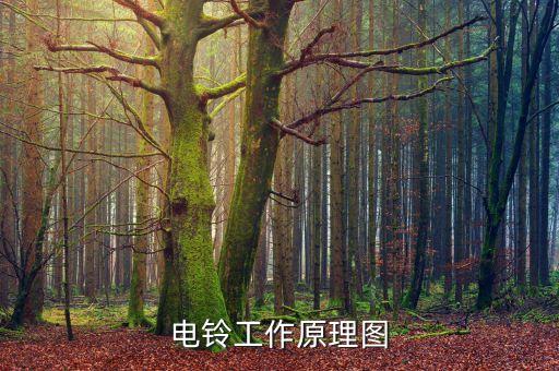 電鈴工作原理圖