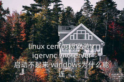 triger，linux centos版安裝trigervnc vncserver啟動不起來 windows為什么能連