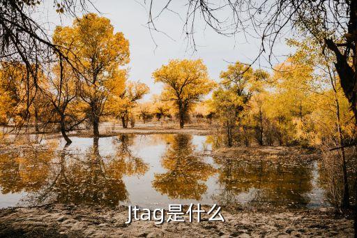 Jtag是什么
