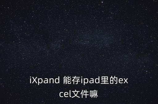 iXpand 能存ipad里的excel文件嘛