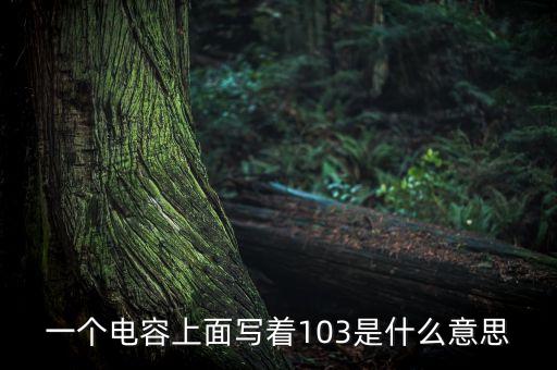 一個(gè)電容上面寫著103是什么意思