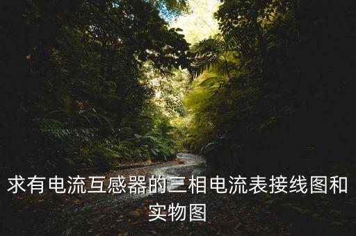求有電流互感器的三相電流表接線圖和實(shí)物圖