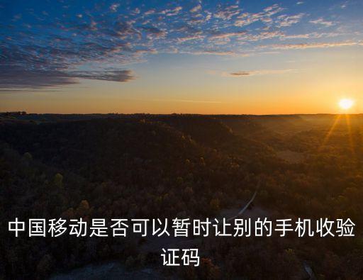 代收驗證碼，電話手表怎么收驗證碼