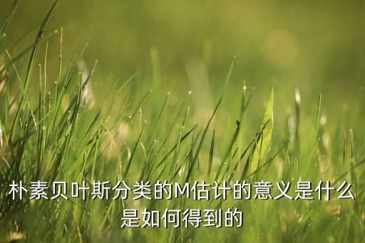 樸素貝葉斯分類器，關(guān)于spss中貝葉斯判別的問題想問一下spss中的樸素貝葉斯分類器