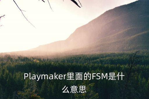 Playmaker里面的FSM是什么意思