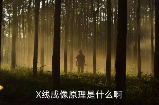 x線成像原理，X線成像原理是什么啊