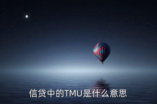 信貸中的TMU是什么意思
