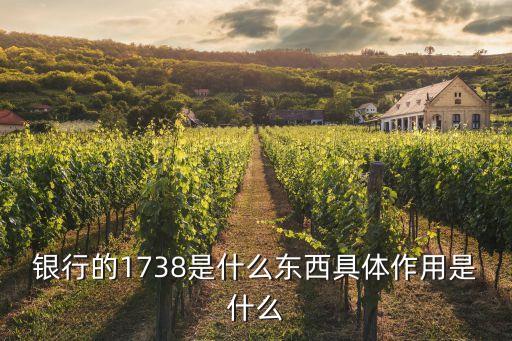 銀行的1738是什么東西具體作用是什么