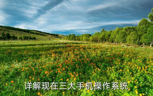 詳解現(xiàn)在三大手機(jī)操作系統(tǒng)