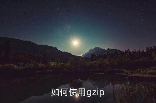 如何使用gzip