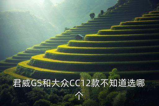 君威GS和大眾CC12款不知道選哪個(gè)