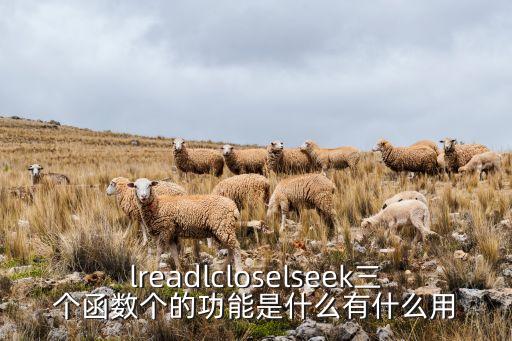lreadlcloselseek三個函數(shù)個的功能是什么有什么用