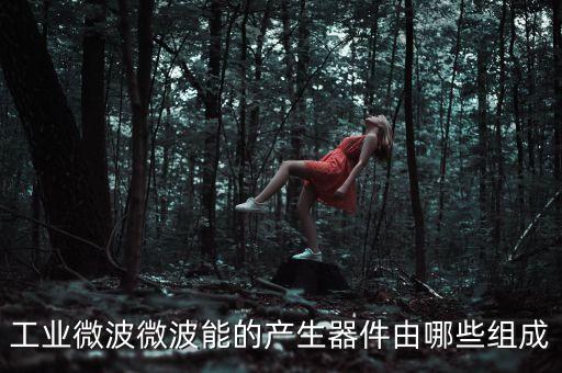 工業(yè)微波微波能的產生器件由哪些組成
