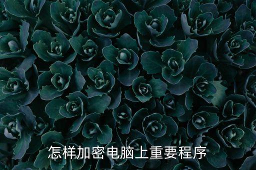 程序加密，怎樣加密電腦上重要程序