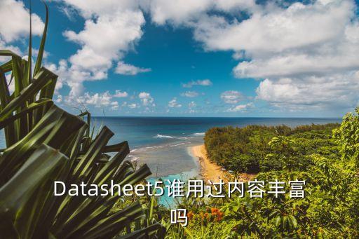 Datasheet5誰用過內容豐富嗎
