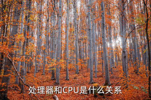 處理器和CPU是什么關(guān)系