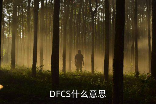 自動(dòng)駕駛系統(tǒng)，DFCS什么意思