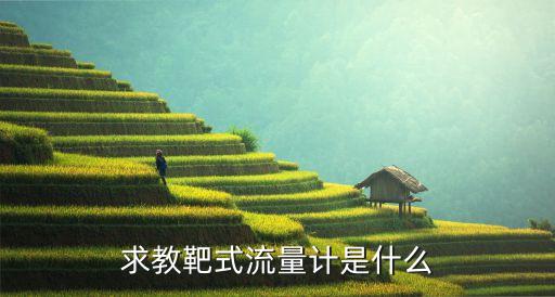 求教靶式流量計(jì)是什么