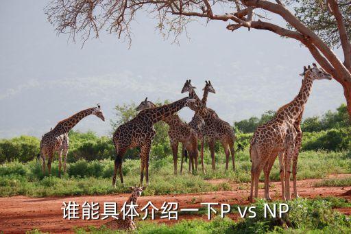 p等于np，為什么p不等于np