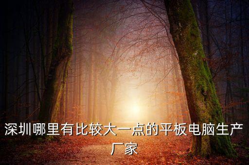 深圳平板電腦廠家，深圳哪里有比較大一點(diǎn)的平板電腦生產(chǎn)廠家