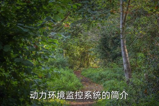 機(jī)房動(dòng)環(huán)監(jiān)控系統(tǒng)，什么是機(jī)房動(dòng)環(huán)系統(tǒng)